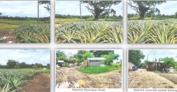 Foreclosed Agricultural Lot in Silang, Cavite, Luzon