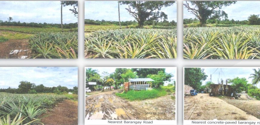 Foreclosed Agricultural Lot in Silang, Cavite, Luzon