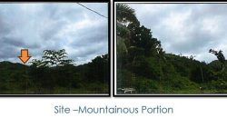 Foreclosed Agricultural Lot in Tangalan, Aklan (PDIC)