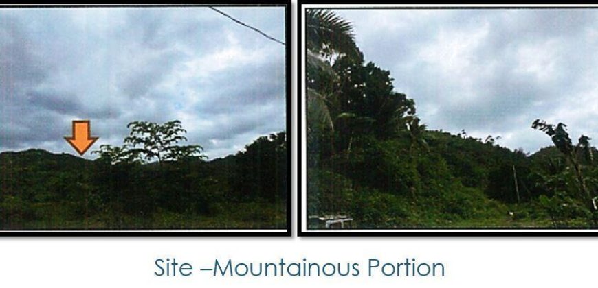 Foreclosed Agricultural Lot in Tangalan, Aklan (PDIC)