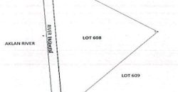 Foreclosed Agricultural Lot in Banga, Aklan · Lot No. 608 (PDIC)