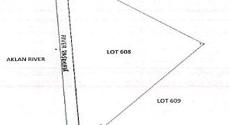 Foreclosed Agricultural Lot in Banga, Aklan, Visayas #2