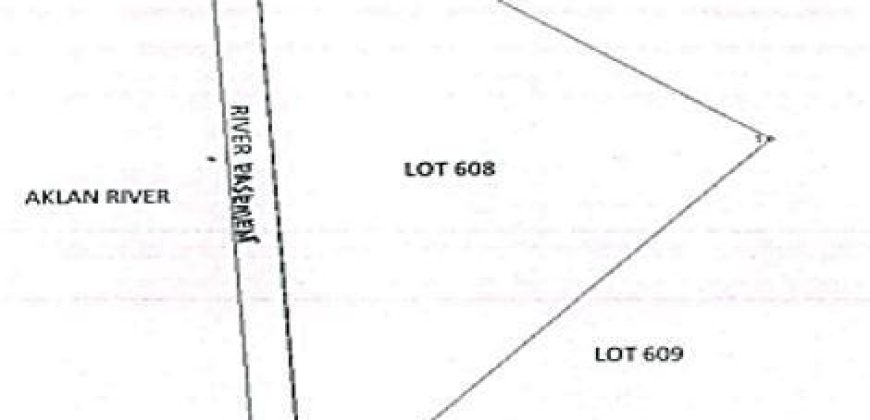 Foreclosed Agricultural Lot in Banga, Aklan · Lot No. 608 (PDIC)