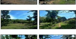Foreclosed Property in Sapian, Capiz (PDIC)