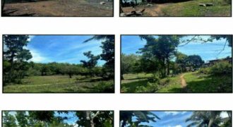 Foreclosed Property in Sapian, Capiz (PDIC)