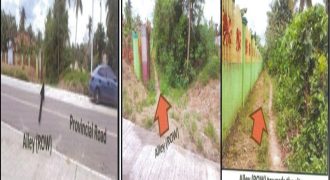Foreclosed Property in Trinidad, Bohol (PDIC)