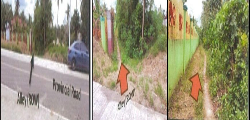 Foreclosed Property in Trinidad, Bohol (PDIC)