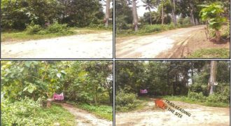Foreclosed Residential Lot in Tagbilaran City, Bohol (PDIC)