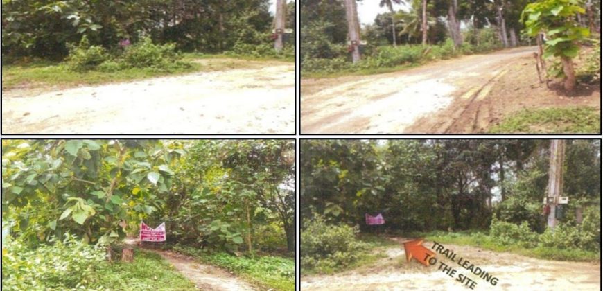 Foreclosed Residential Lot in Tagbilaran City, Bohol, Visayas