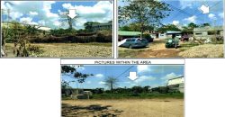 Foreclosed Residential Lot in City Of Cauayan City, Isabela · Lot 24 (PDIC)