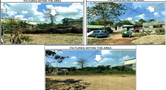 Foreclosed Residential Lot in City Of Cauayan City, Isabela · Lot 24 (PDIC)