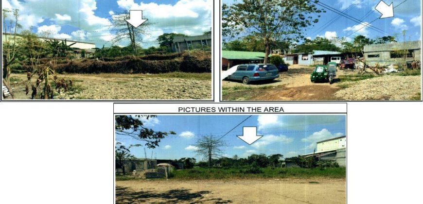 Foreclosed Residential Lot in City Of Cauayan City, Isabela · Lot 24 (PDIC)