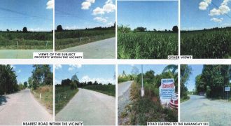 Foreclosed Agricultural Lot in Aurora, Isabela (PDIC)
