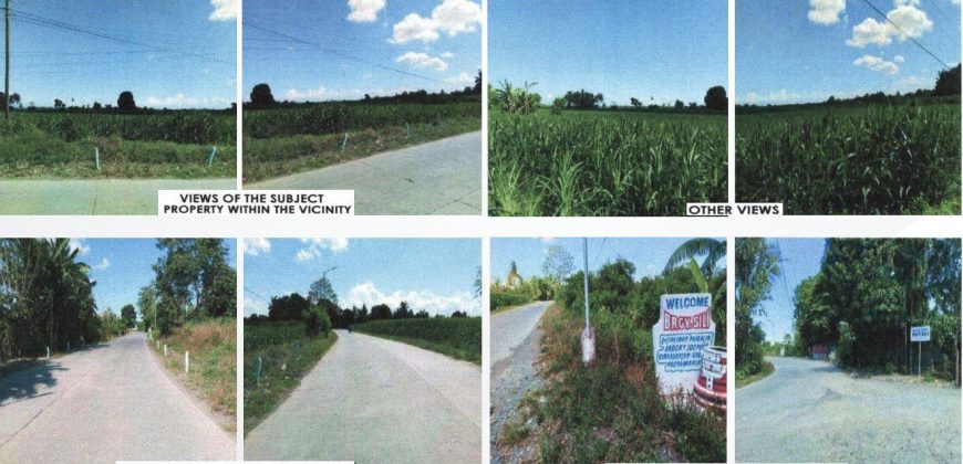 Foreclosed Agricultural Lot in Aurora, Isabela (PDIC)