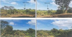 Foreclosed Agricultural Lot in Alfonso, Cavite (PDIC)