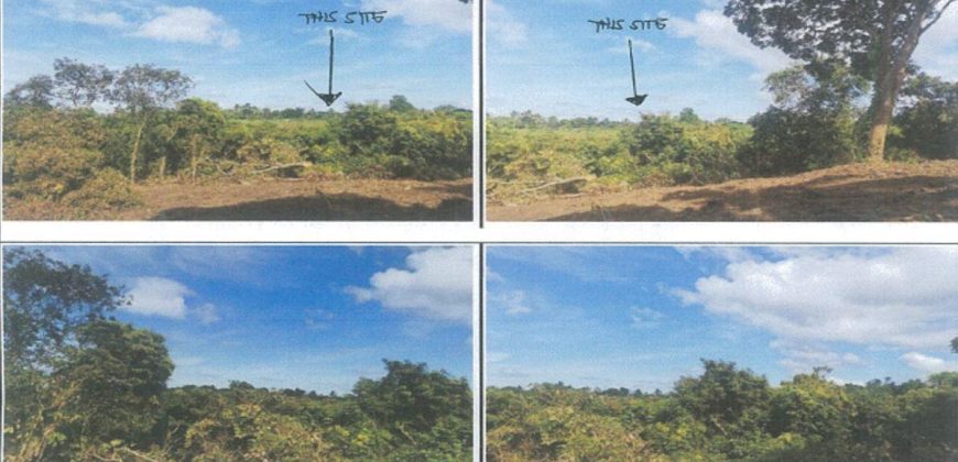 Foreclosed Agricultural Lot in Alfonso, Cavite (PDIC)