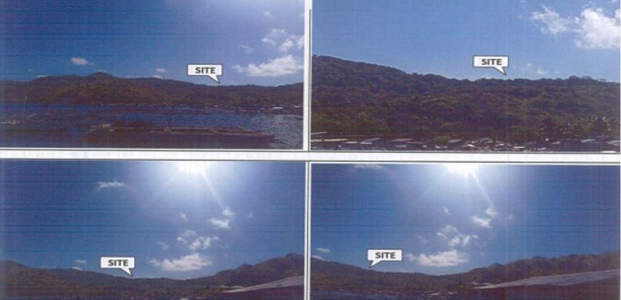 Foreclosed Agricultural Lot in Linapacan, Palawan (PDIC) #3