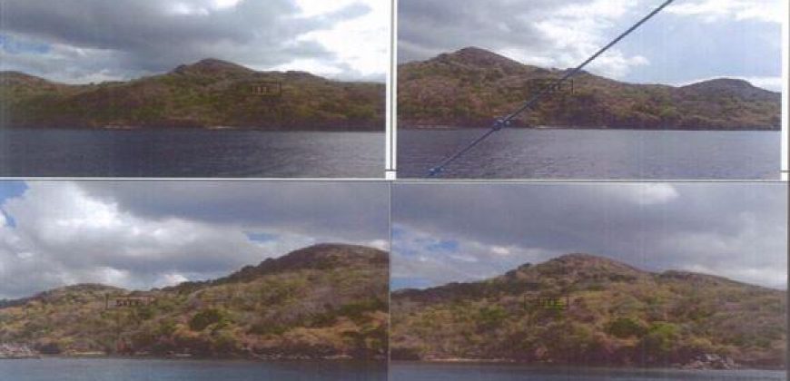 Foreclosed Agricultural Lot in Linapacan, Palawan (PDIC)