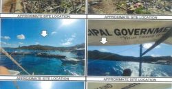 Foreclosed Agricultural Lot in Linapacan, Palawan