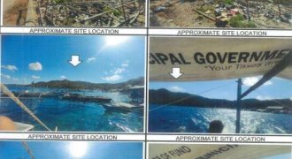 Foreclosed Agricultural Lot in Linapacan, Palawan (PDIC) #2