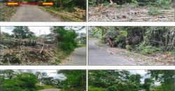 Foreclosed Agricultural Lot in Santol, La Union · Lot No. 2029 (PDIC)