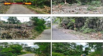 Foreclosed Agricultural Lot in Santol, La Union · Lot No. 2029 (PDIC)