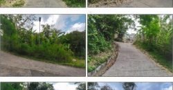 Foreclosed Agricultural Lot in Santol, La Union (PDIC)