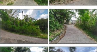 Foreclosed Agricultural Lot in Santol, La Union (PDIC)