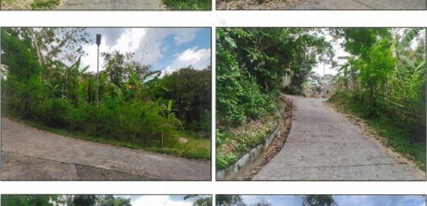 Foreclosed Agricultural Lot in Santol, La Union (PDIC)
