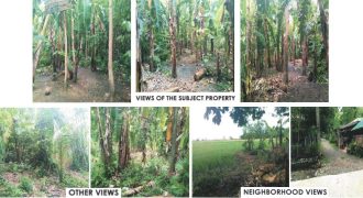 Foreclosed Residential Lot in Burgos, Isabela (PDIC)