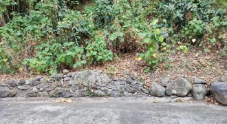 Foreclosed Residential Lot in Binangonan, Rizal