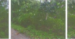 Foreclosed Residential Lot in Taysan, Batangas (PDIC)