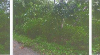 Foreclosed Residential Lot in Taysan, Batangas (PDIC)