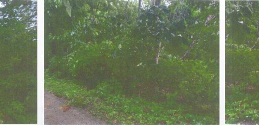 Foreclosed Residential Lot in Taysan, Batangas (PDIC)