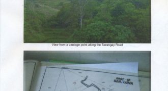 Foreclosed Agricultural Lot in Barotac Viejo, Iloilo (Philippine Veterans Bank) #2