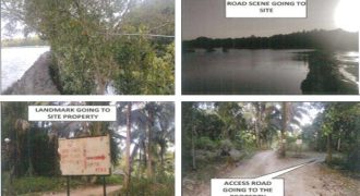 Foreclosed Agricultural Lot in Tagkawayan, Maguindanao (PDIC)