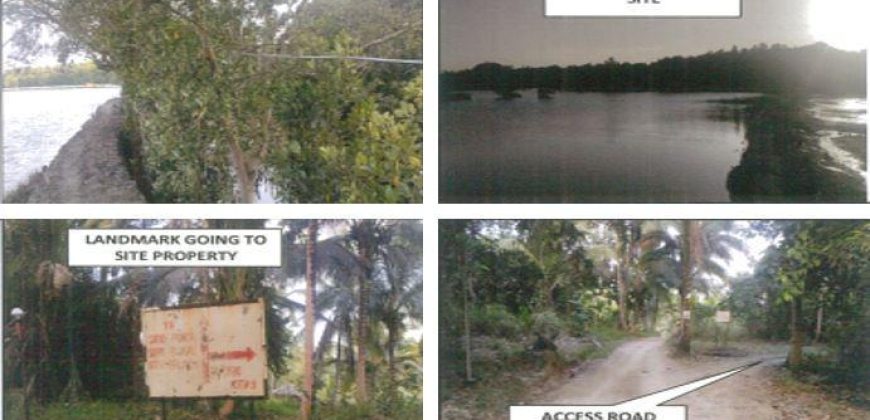 Foreclosed Agricultural Lot in Tagkawayan, Maguindanao (PDIC)