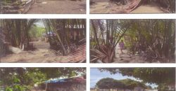 Foreclosed Property in New Washington, Aklan (PDIC)