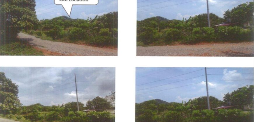 Foreclosed Property in Balete, Aklan · Lot No.1723 (PDIC)