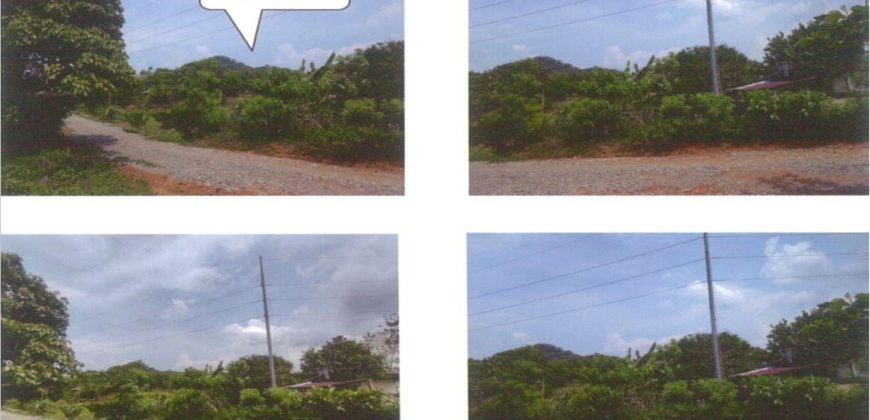 Foreclosed Property in Balete, Aklan · Lot No.1723 (PDIC) #2