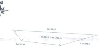 Foreclosed Agricultural Lot in Malay, Aklan (PDIC)