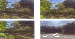 Foreclosed Agricultural Lot in Kalibo, Aklan (PDIC)