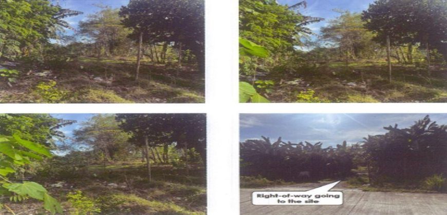 Foreclosed Agricultural Lot in Kalibo, Aklan (PDIC)