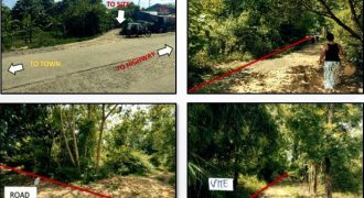 Foreclosed Agricultural Lot in Anda, Pangasinan (PDIC)