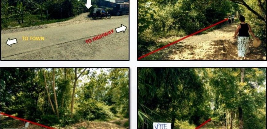 Foreclosed Agricultural Lot in Anda, Pangasinan (PDIC)
