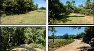 Foreclosed Residential Lot in City Of Alaminos City, Pangasinan · Lot 10164-A (PDIC)