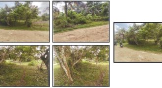 Foreclosed Residential Lot in Corella, Bohol (PDIC)