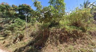 Foreclosed Agricultural Lot in Antipolo City