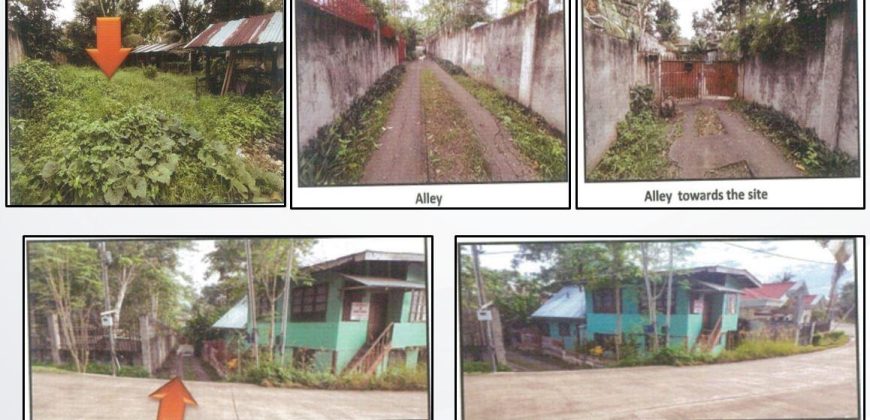 Foreclosed Residential Lot in Tagbilaran City, Bohol · Lot 3885-B-1-E (PDIC)
