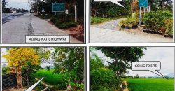 Foreclosed Agricultural Lot in Bay, Laguna (PDIC)